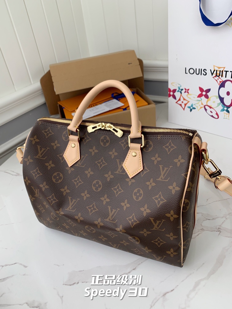 LV Speedy Bags